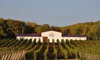 Экскурсия с дегустацией на винодельню Gunko Winery